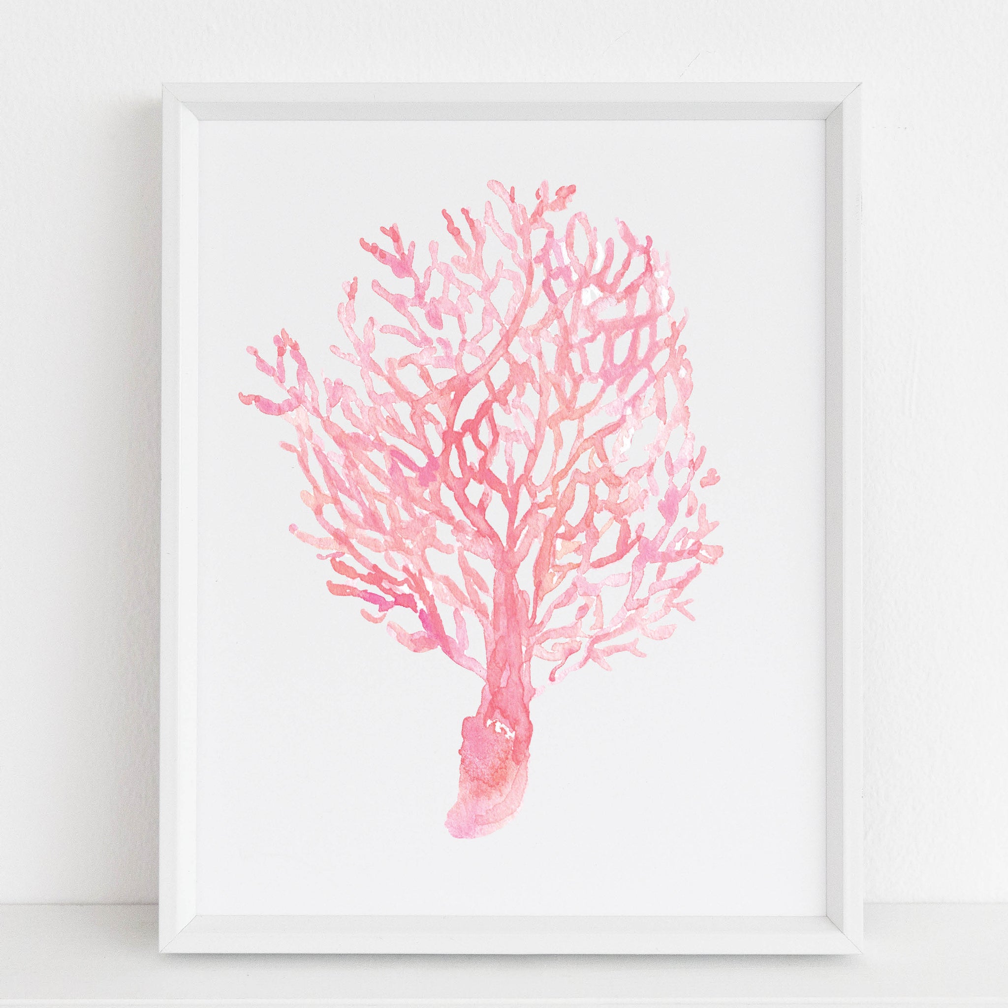 Pink Coral