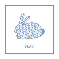 Blue Bunny Enclosure Card