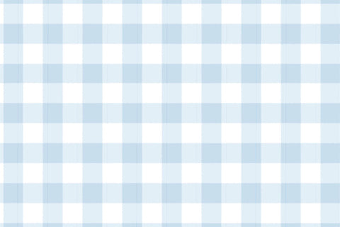 Blue Gingham Placemats