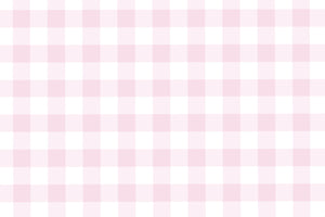 Pink Gingham Placemats