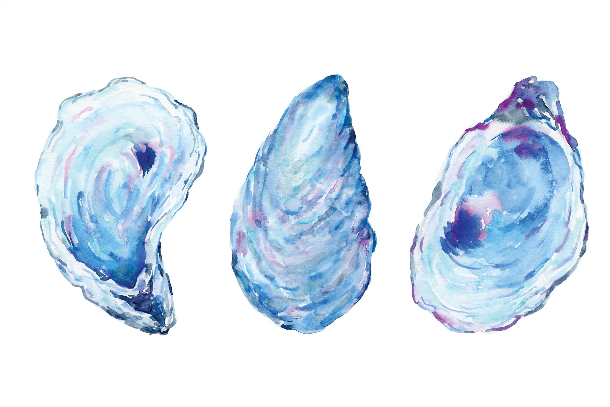 Oyster Watercolor Placemats