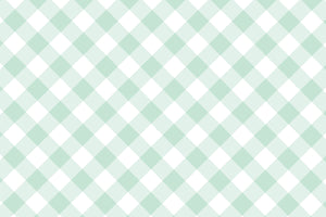 Seafoam Gingham Placemats