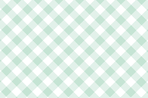 Seafoam Gingham Placemats